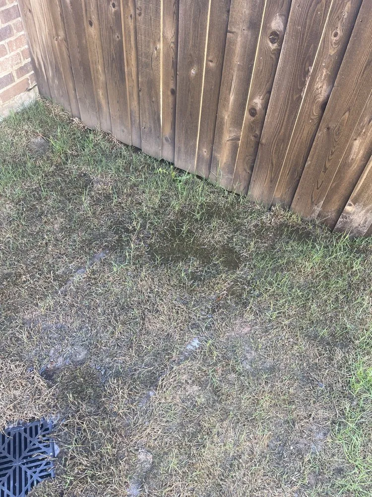 Expert yard maintenance with custom design in Plano, TX by AllTex Landscape & Construction