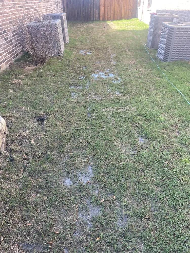 Affordable garden landscaping experts serving Plano, TX - AllTex Landscape & Construction