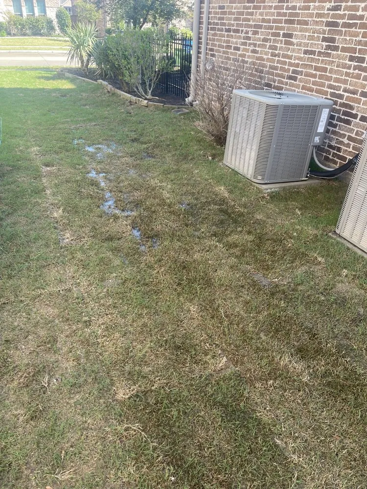 Professional yard cleanup service in Plano, TX - AllTex Landscape & Construction
