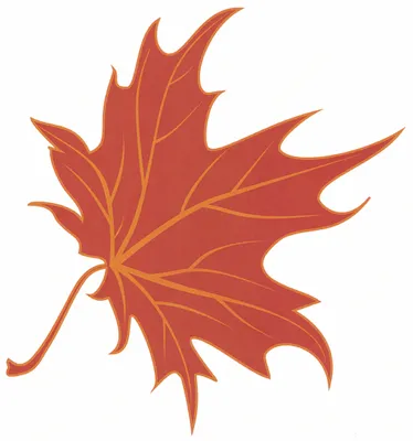 Allure Landscapes Logo