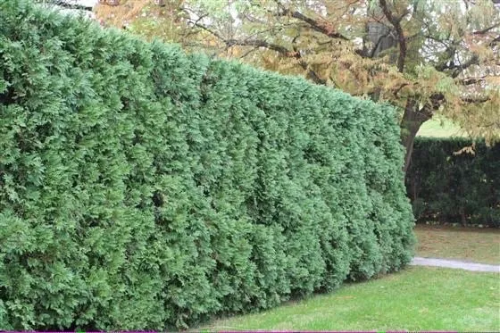 Local lawn mowing service in Stamford, CT - Allure Landscaping & Garden