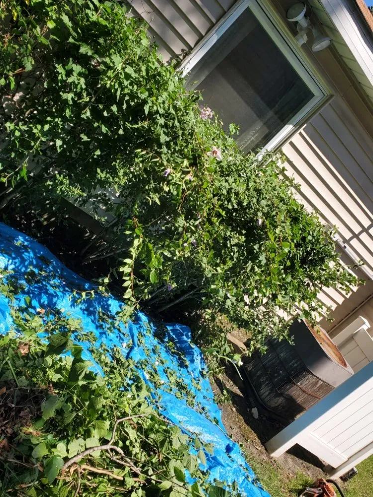 Trusted garden landscaping in Lenzburg, IL - Alluring Creations