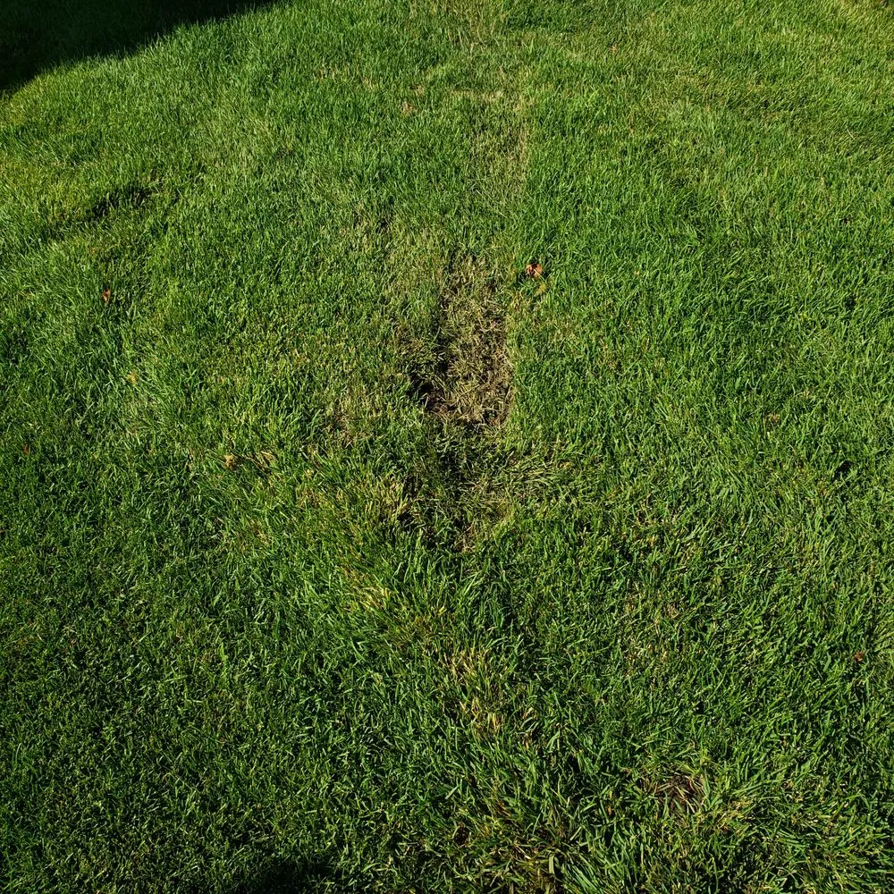 Reliable landscape installation in Nampa, ID - Alluring Lawn Service