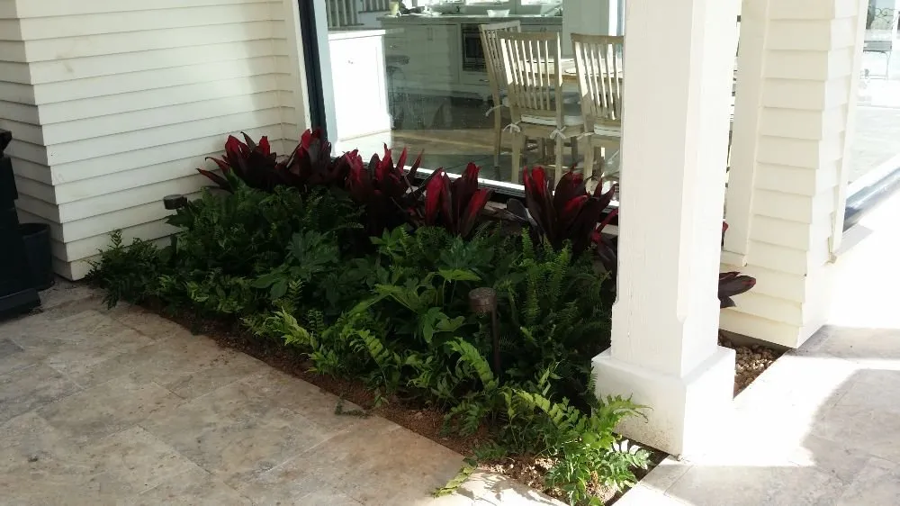 Trusted landscape installation for year-round maintenance across Manvel, TX - Alluring Vistas Landscape & Irrigation