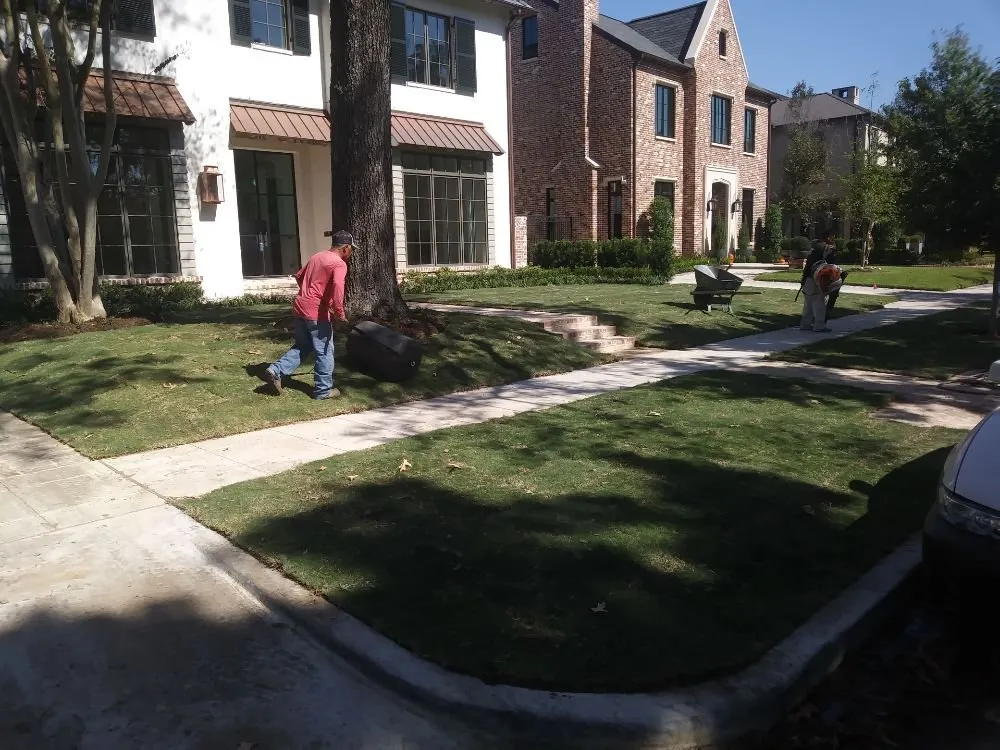 Expert lawn care service in Manvel, TX - Alluring Vistas Landscape & Irrigation