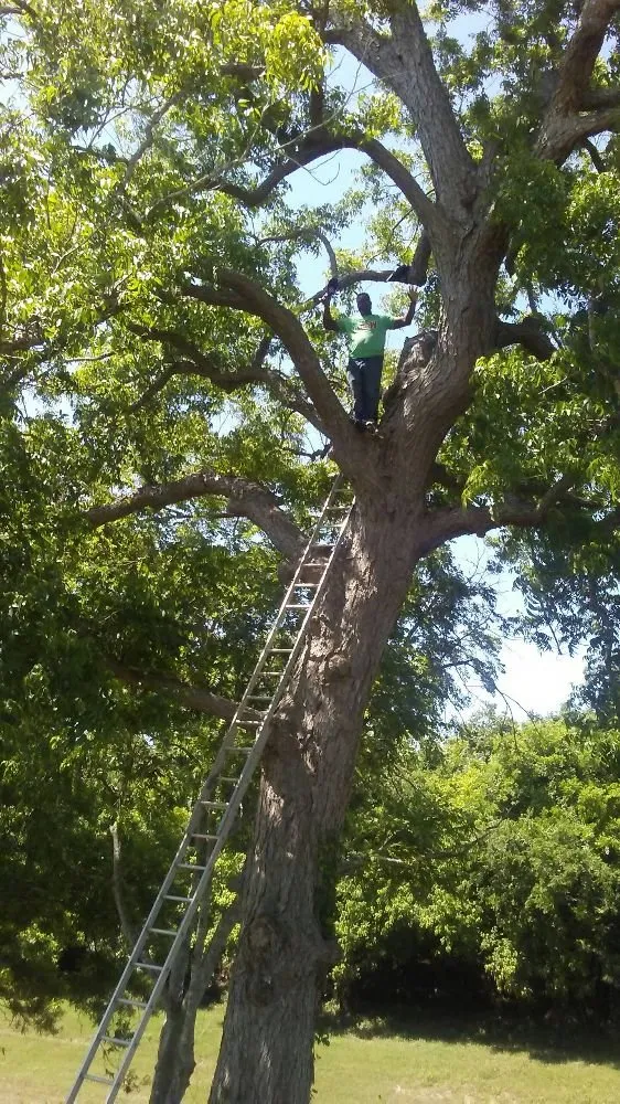 Reliable outdoor landscaping in Manvel, TX - Alluring Vistas Landscape & Irrigation