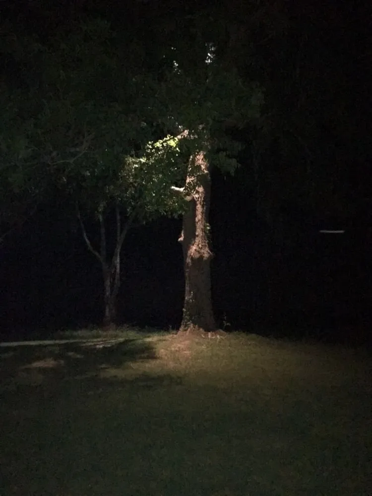 Expert lawn care service for outdoor upgrades across Manvel, TX - Alluring Vistas Landscape & Irrigation