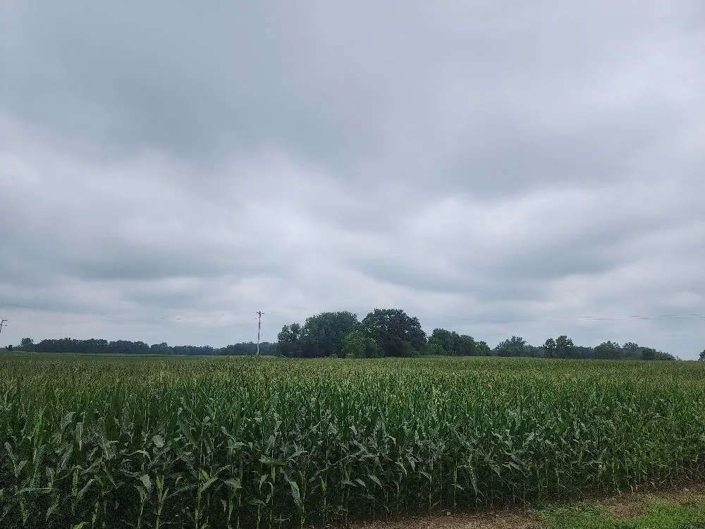 Affordable residential landscaping experts serving Hillsdale, MI - Allwardt's Handyman Service's