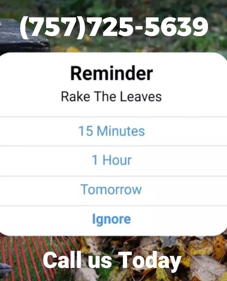 Top-rated yard maintenance for homes across Yorktown, VA - Allwayze Landscaping