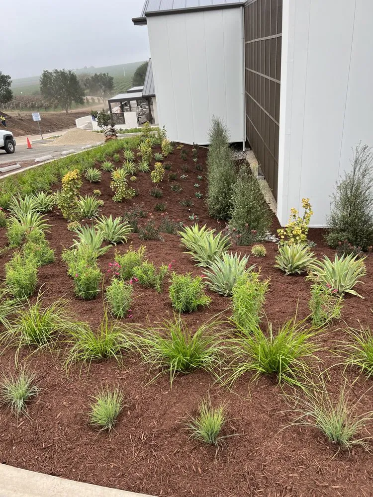 Top-rated yard maintenance in Santa Maria, CA by Allweather Landscape