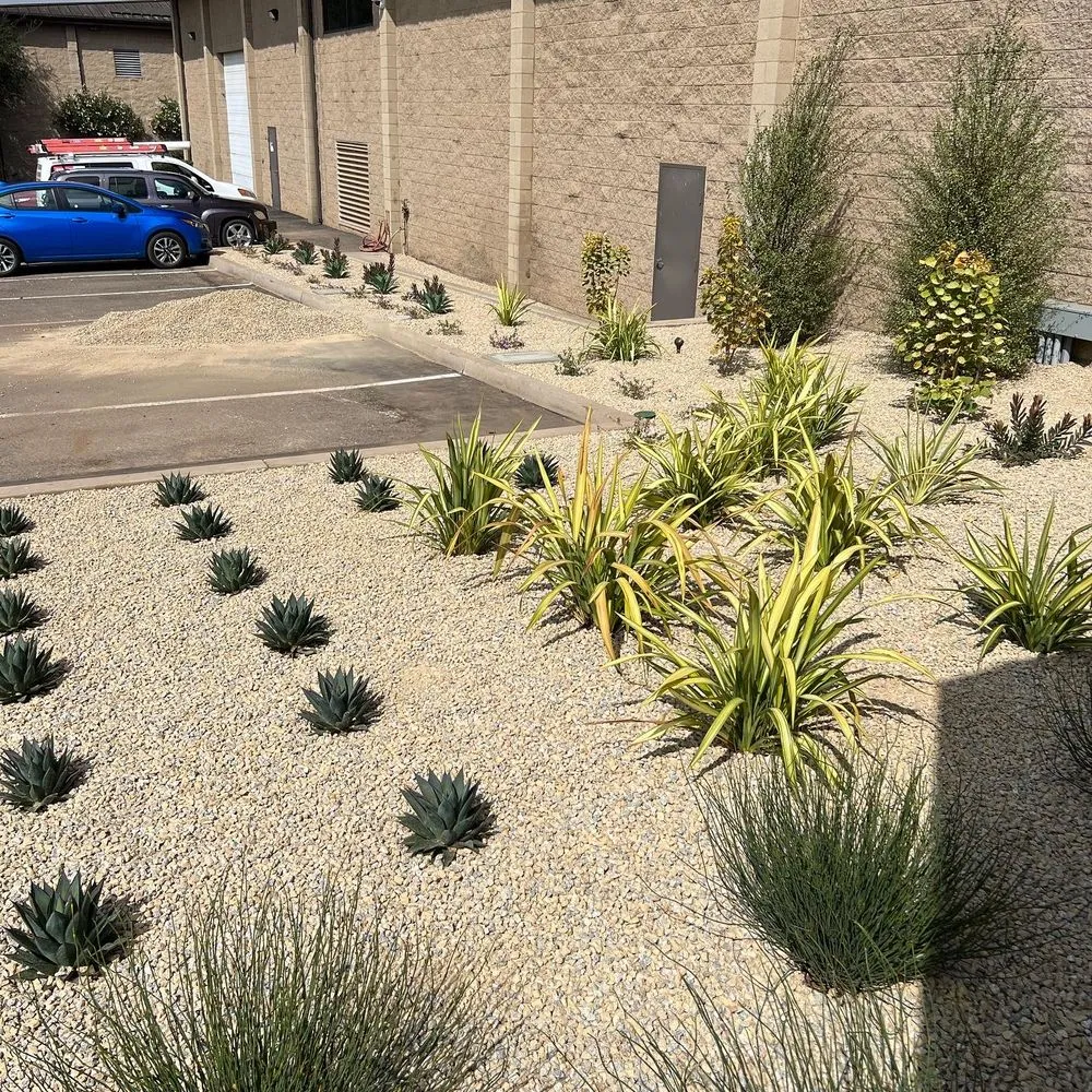 Local outdoor landscaping in Santa Maria, CA by Allweather Landscape