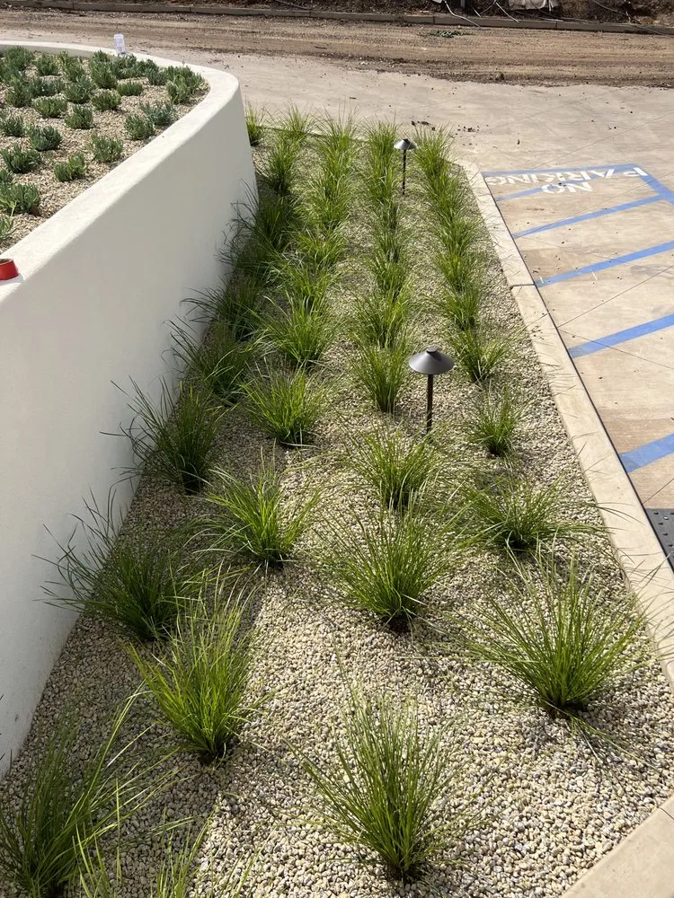 Top-rated lawn mowing service with custom design in Santa Maria, CA by Allweather Landscape