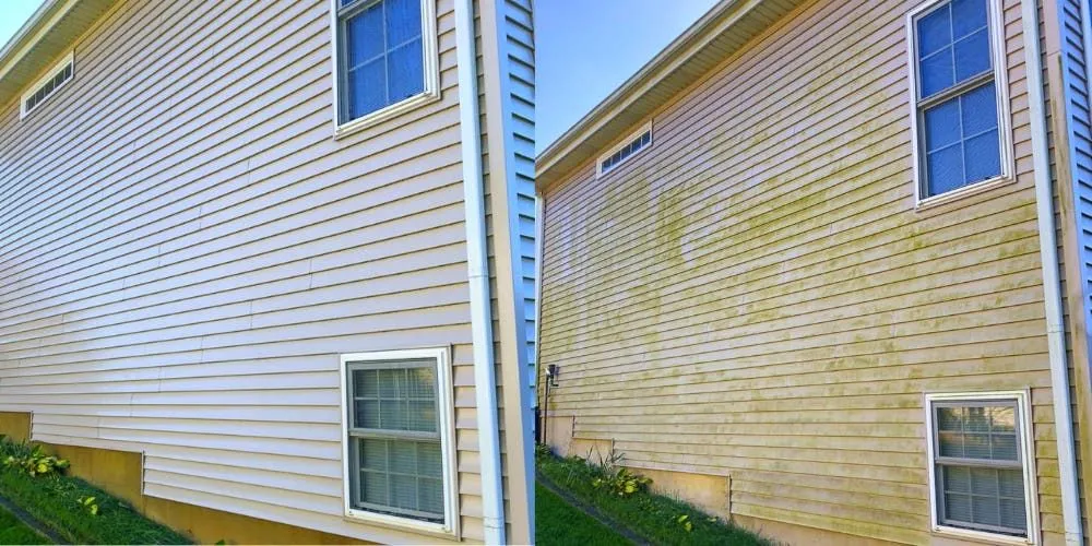 Trusted outdoor landscaping near you in Sanford, NC by ALM and Partners