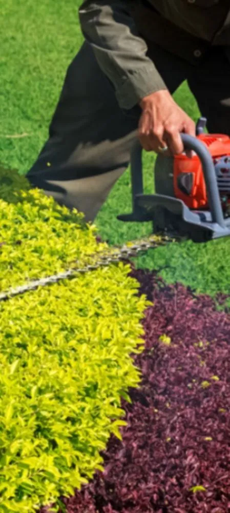 Reliable garden landscaping for residential properties in Sanford, NC by ALM and Partners