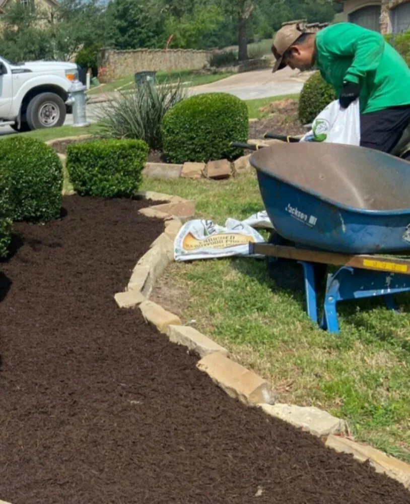 Professional yard cleanup service for beautiful yards in Sanford, NC by ALM and Partners