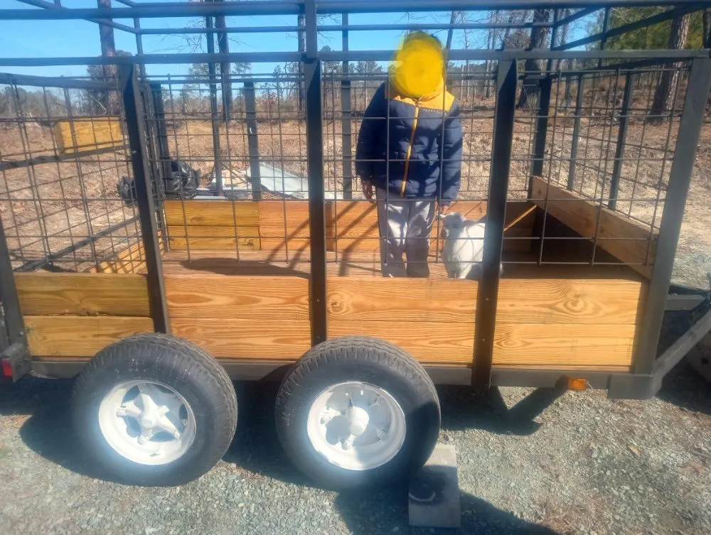 Professional landscape installation for outdoor upgrades across Sanford, NC - ALM and Partners