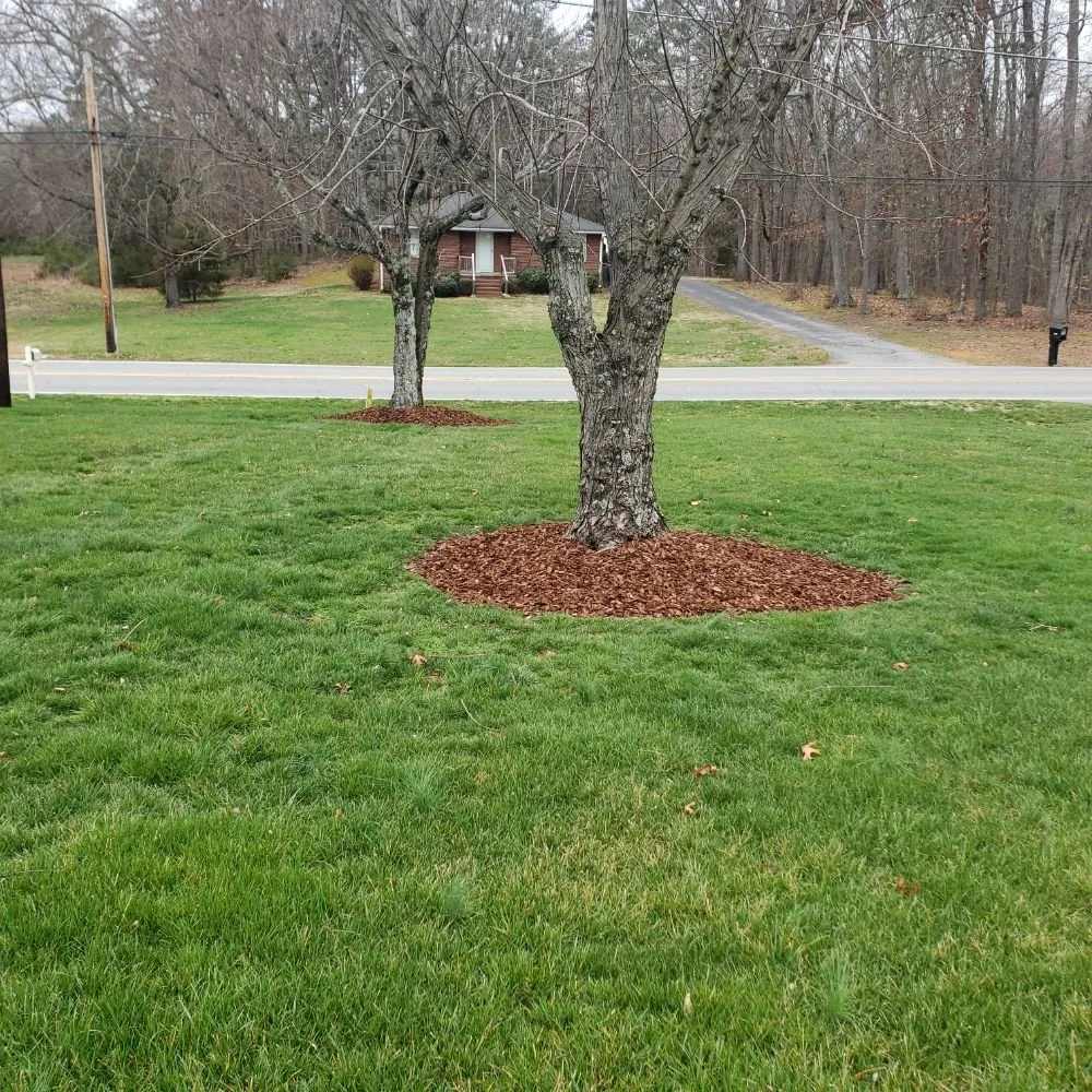Custom landscape design in Kernersville, NC - ALM Landscaping and Design