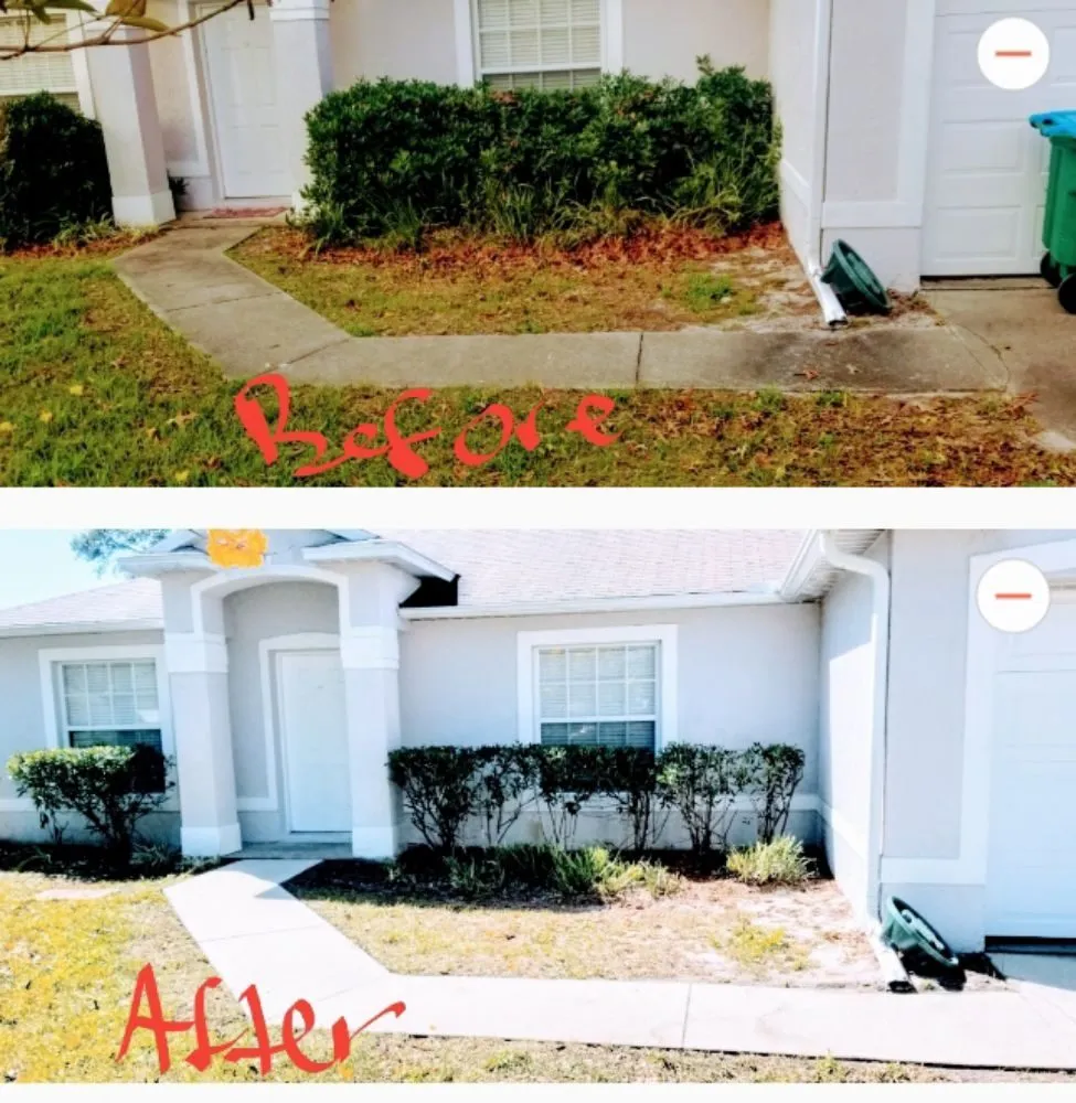 Custom lawn care service in Deltona, FL - ALM Landscaping