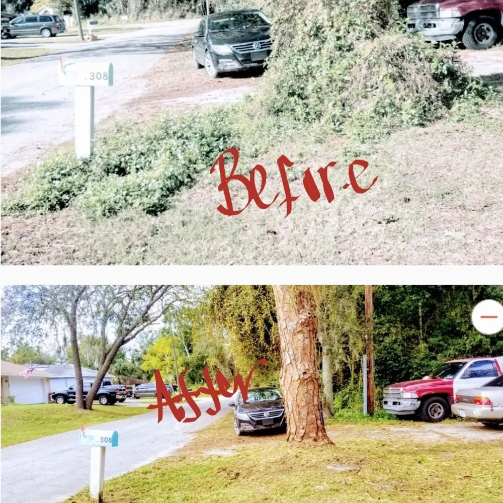 Top-rated lawn mowing service for homes across Deltona, FL - ALM Landscaping