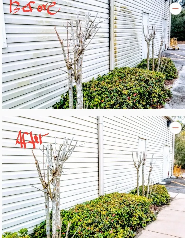 Reliable landscape design near you across Deltona, FL - ALM Landscaping