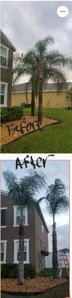 Professional lawn mowing service for beautiful yards in Deltona, FL by ALM Landscaping