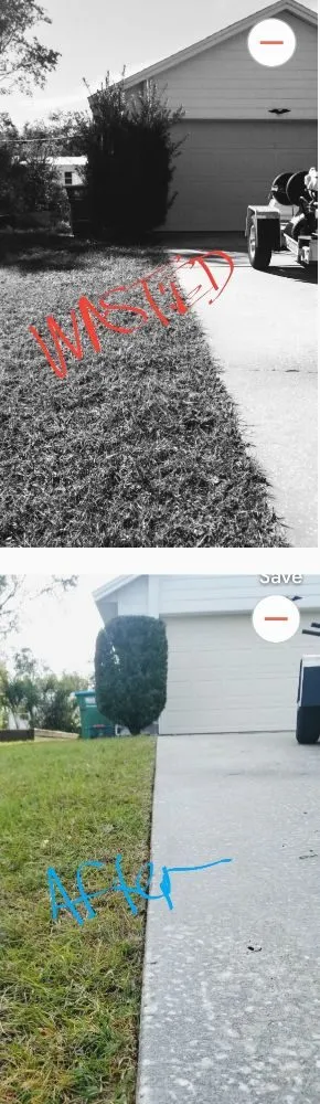 Top-rated yard cleanup service experts serving Deltona, FL - ALM Landscaping