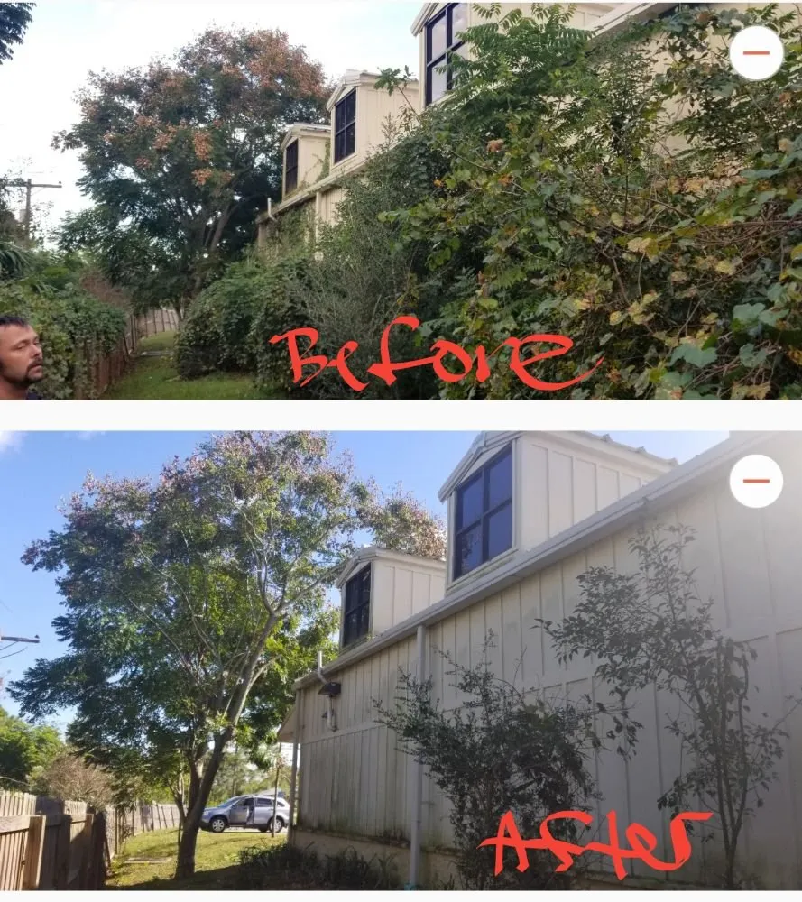 Local landscape design for outdoor upgrades across Deltona, FL - ALM Landscaping