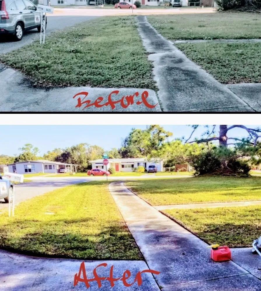 Professional landscape design in Deltona, FL - ALM Landscaping