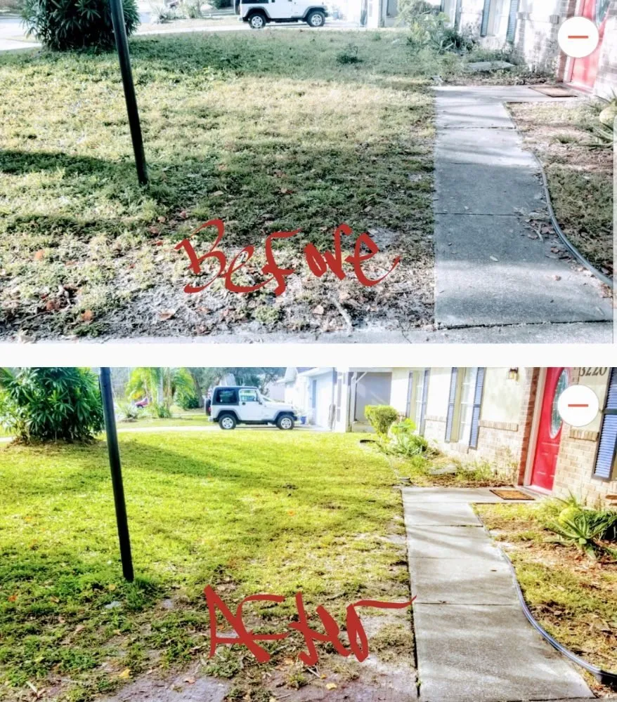 Local yard cleanup service for year-round maintenance across Deltona, FL - ALM Landscaping