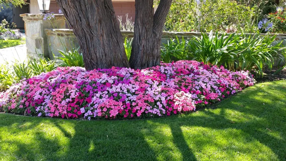 Top-rated landscape design experts serving Arleta, CA - Alma Gardening