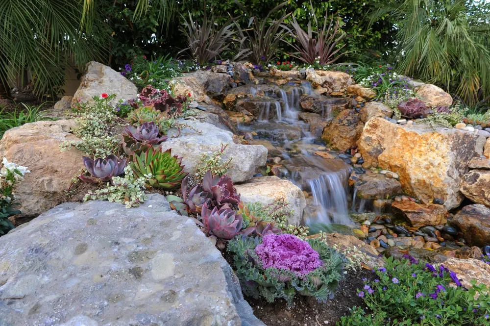 Professional lawn care service near you in Arleta, CA by Alma Gardening
