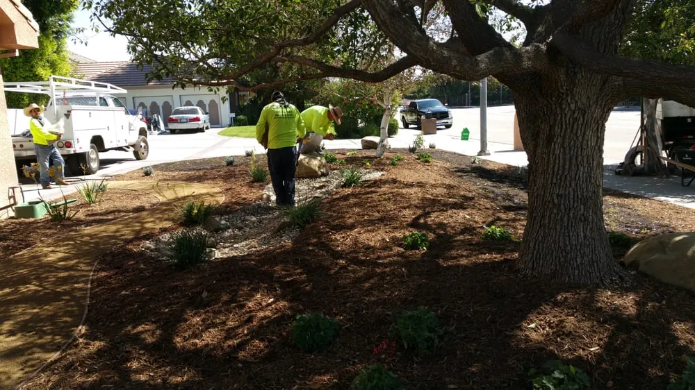 Top-rated landscape installation experts serving Arleta, CA - Alma Gardening