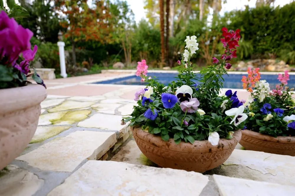 Expert lawn mowing service in Arleta, CA by Alma Gardening