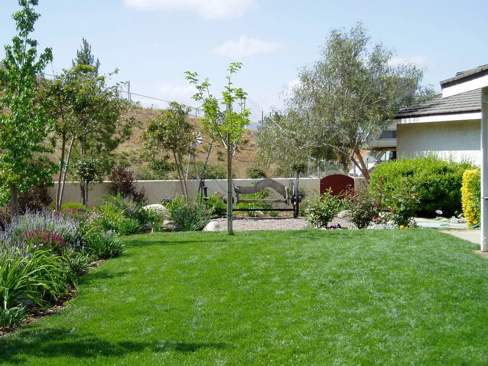 Affordable lawn mowing service experts serving Arleta, CA - Alma Gardening