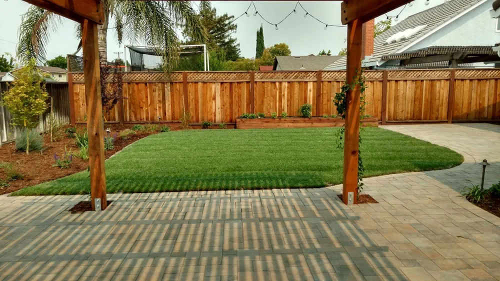 Professional lawn care service in San Jose, CA by Almaden Valley Landscape