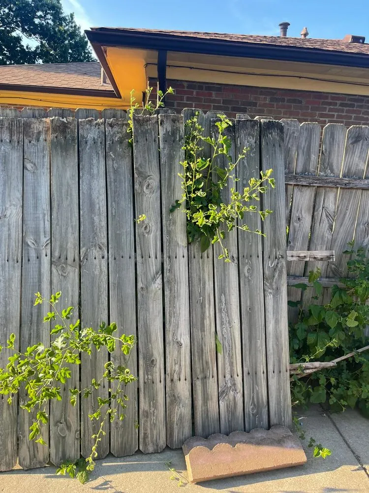 Affordable landscape installation in Louisville, KY by Almanza Handyman