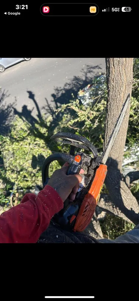 Affordable landscape design for residential properties across Pittsburg, CA - Almaraz Landscape