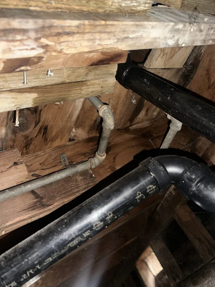 Reliable landscaping services experts serving Pittsburg, CA - Almaraz Landscape