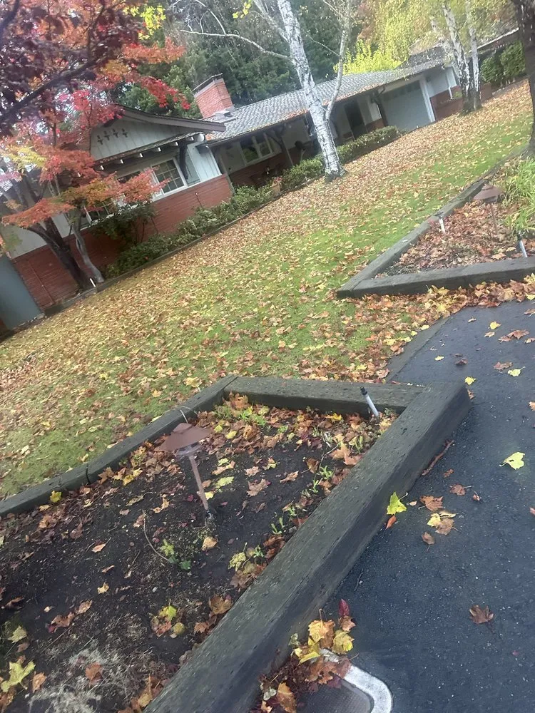 Expert landscape installation for outdoor upgrades in Pittsburg, CA by Almaraz Landscape