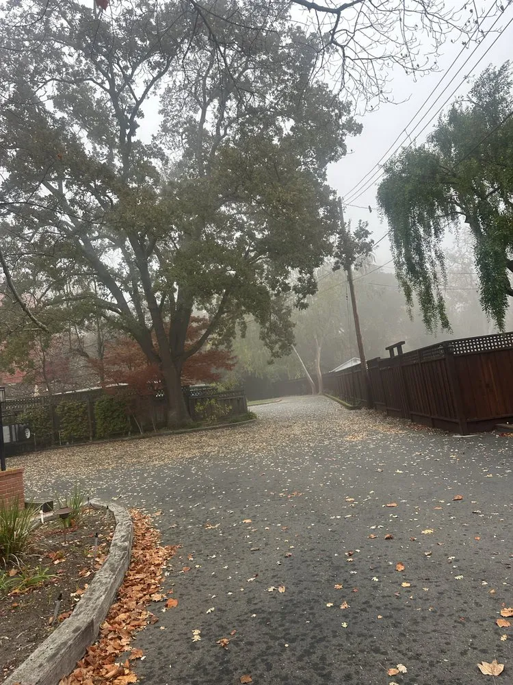 Trusted garden landscaping for homes across Pittsburg, CA - Almaraz Landscape