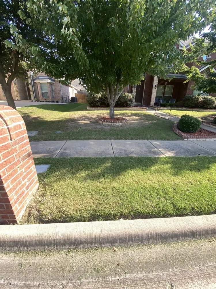 Custom lawn care service in Garland, TX by Almaraz Landscaping