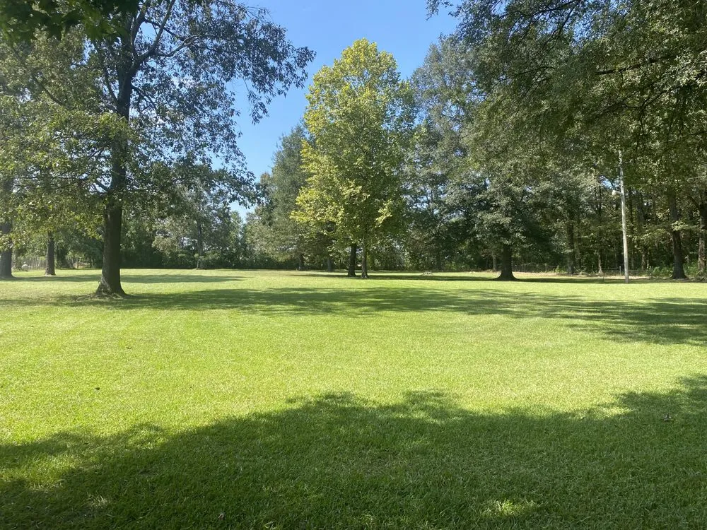 Expert landscape installation experts serving Warren, AR - Almaraz Lawn Care