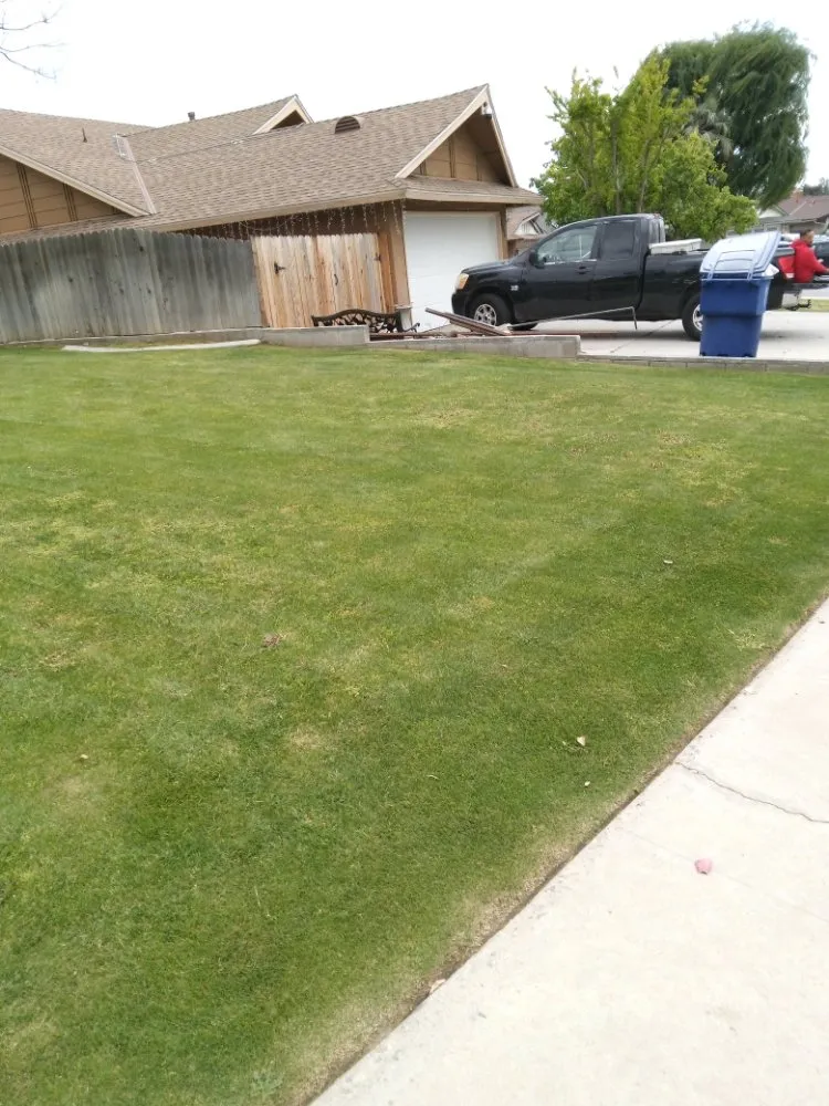 Reliable landscaping services experts serving Bakersfield, CA - Almaraz Service's