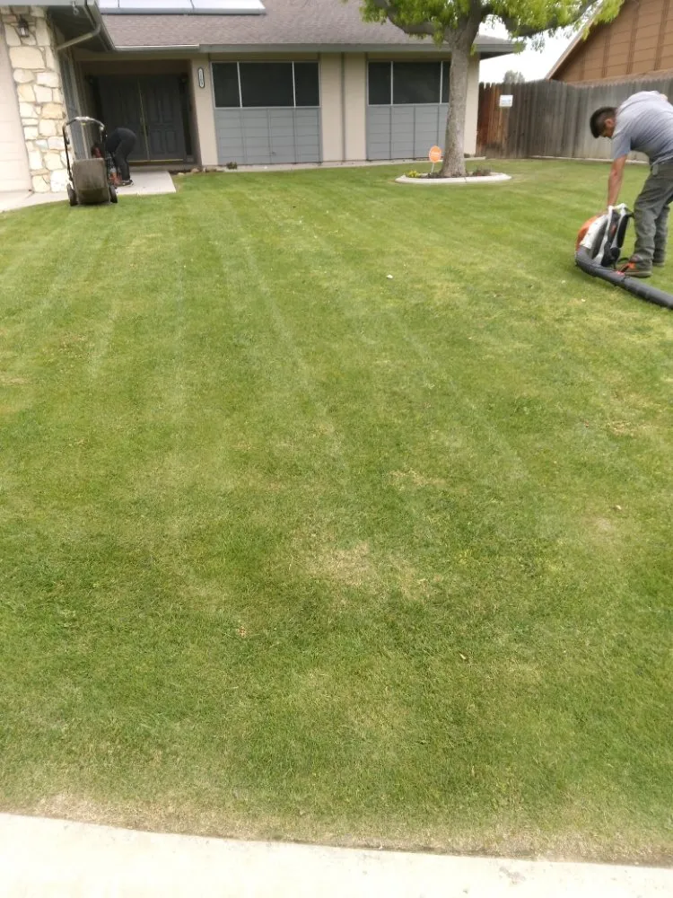 Reliable landscaping services in Bakersfield, CA - Almaraz Service's