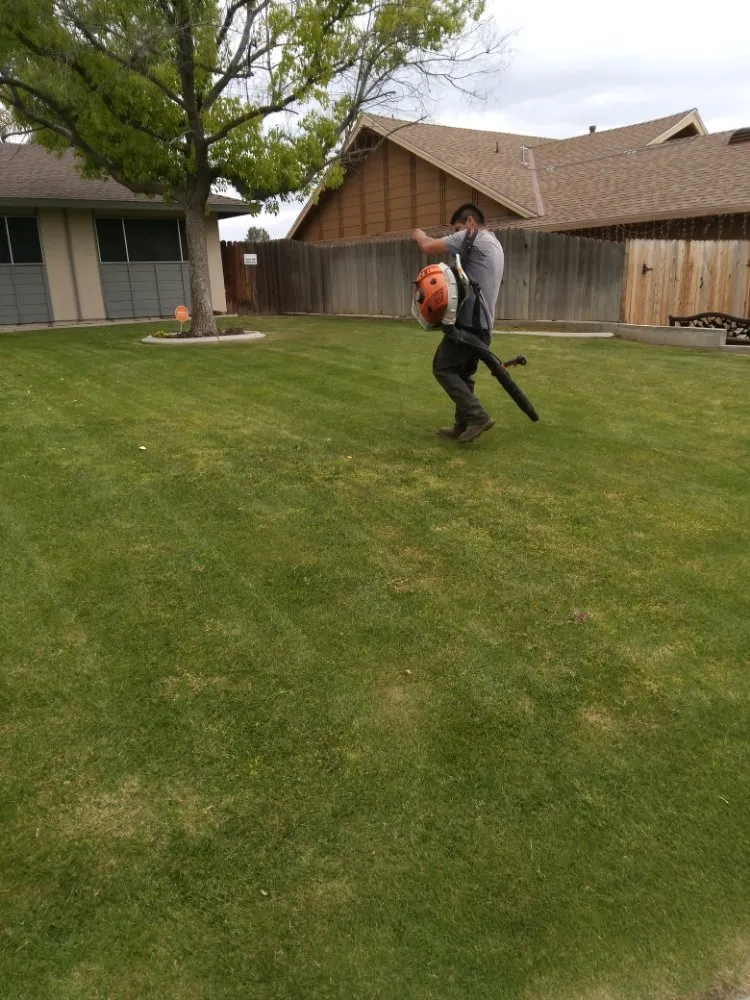 Reliable landscaping services experts serving Bakersfield, CA - Almaraz Service's