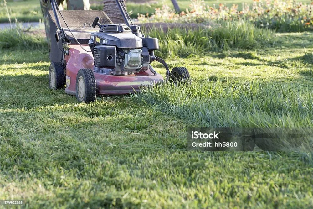 Local yard cleanup service near you in Bakersfield, CA by Almaraz Service's