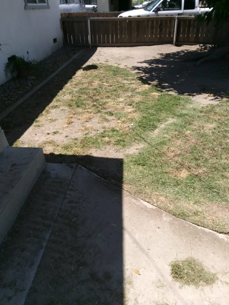 Custom landscape design for residential properties across Bakersfield, CA - Almaraz Service's
