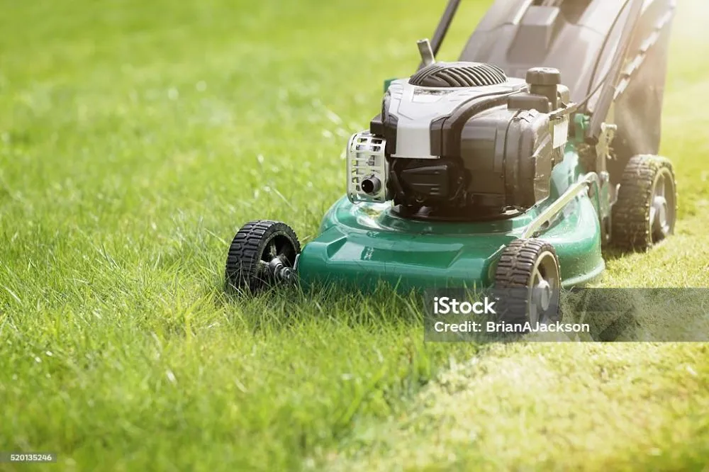 Reliable landscape installation for year-round maintenance in Bakersfield, CA by Almaraz Service's