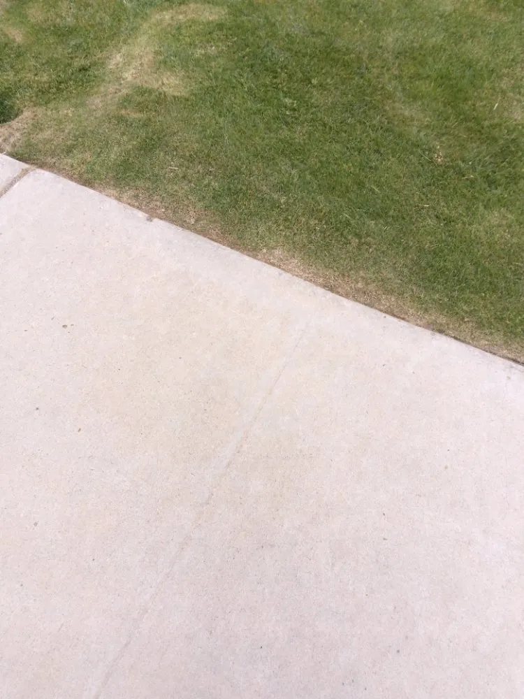 Trusted landscaping services for beautiful yards in Bakersfield, CA by Almaraz Service's