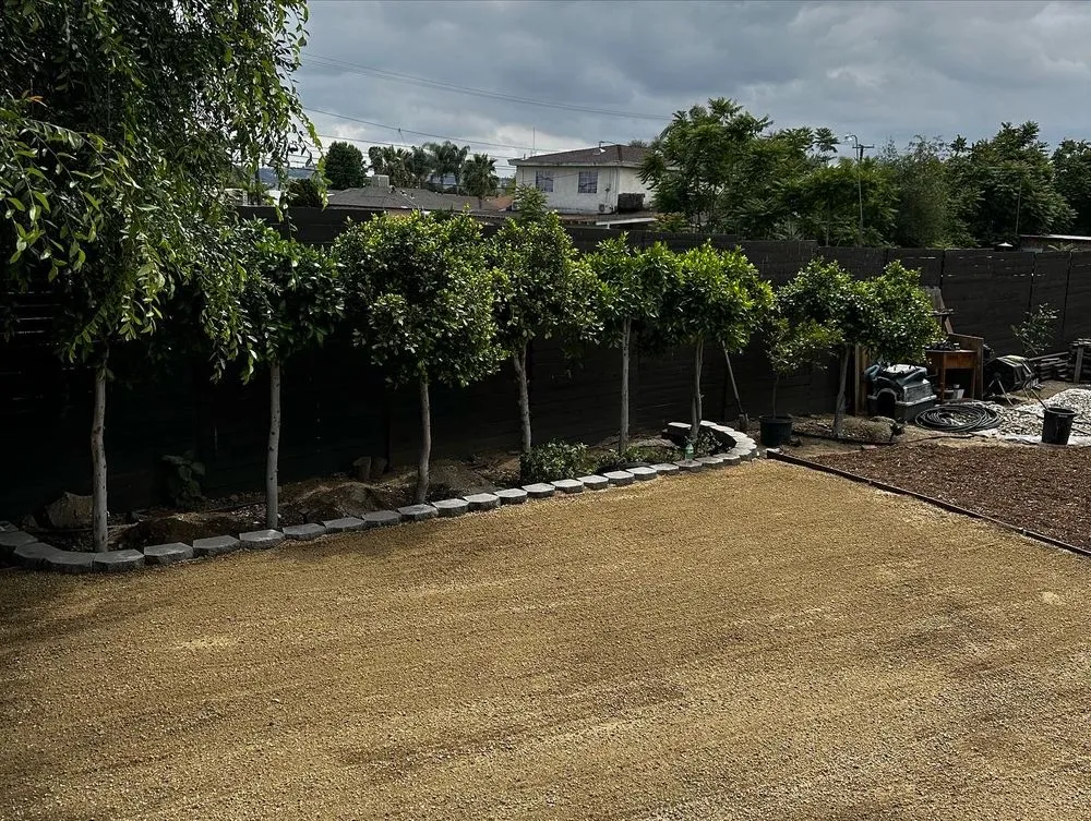 Top-rated yard cleanup service experts serving Pomona, CA - Almazan’s landscape